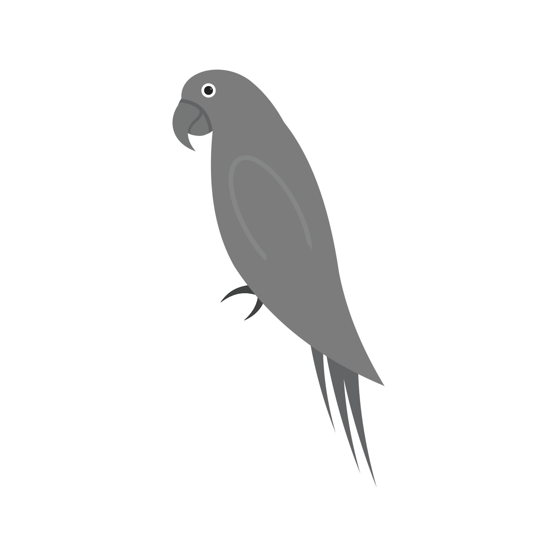 Pet Parrot Flat Greyscale Icon 15673376 Vector Art at Vecteezy