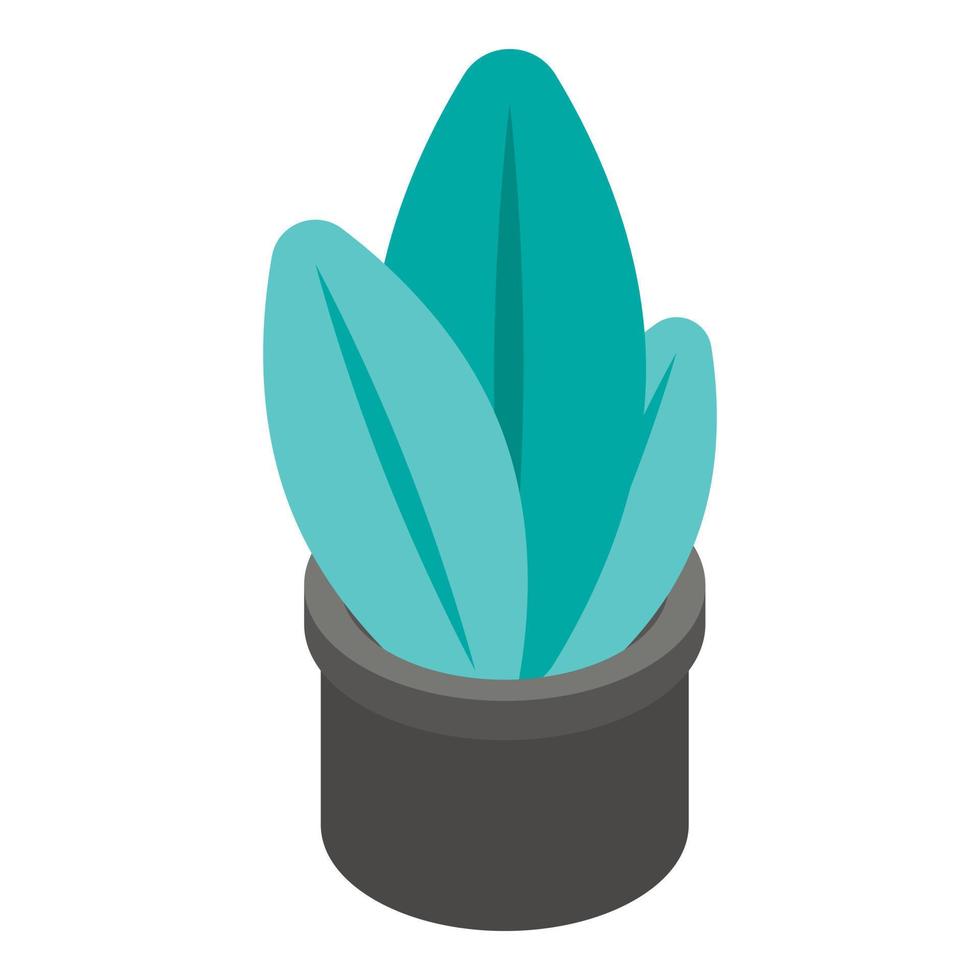 Plant pot icon, isometric style vector