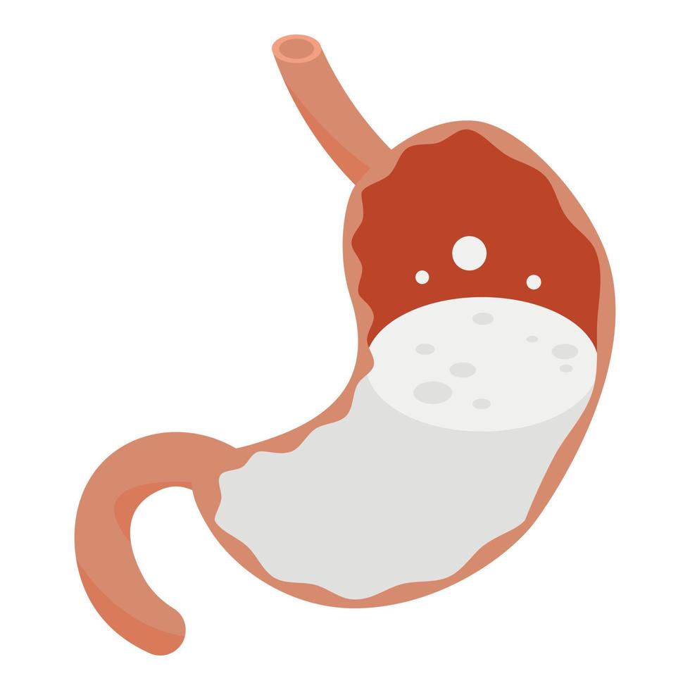 Stomach liquid icon, isometric style vector