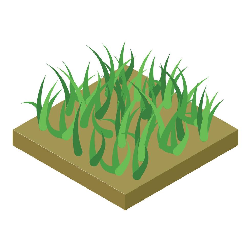 Grass soil land icon, isometric style vector
