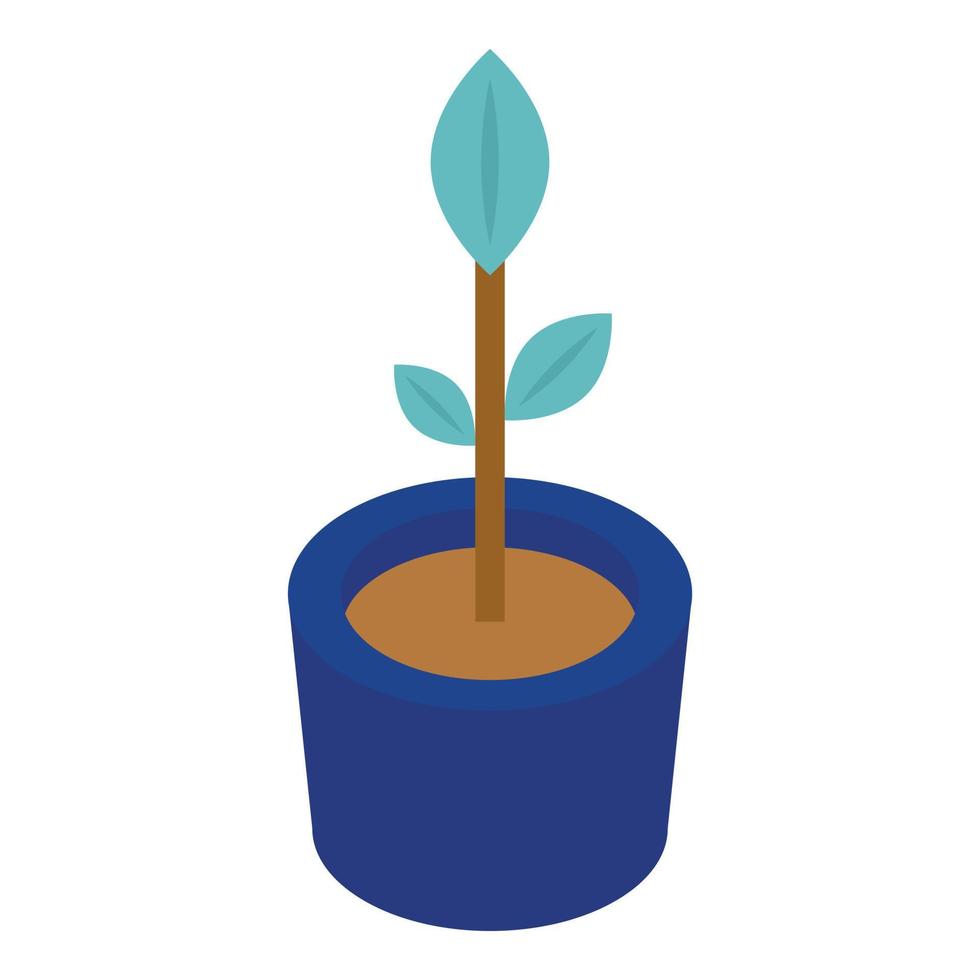 Growing flower pot icon, isometric style vector