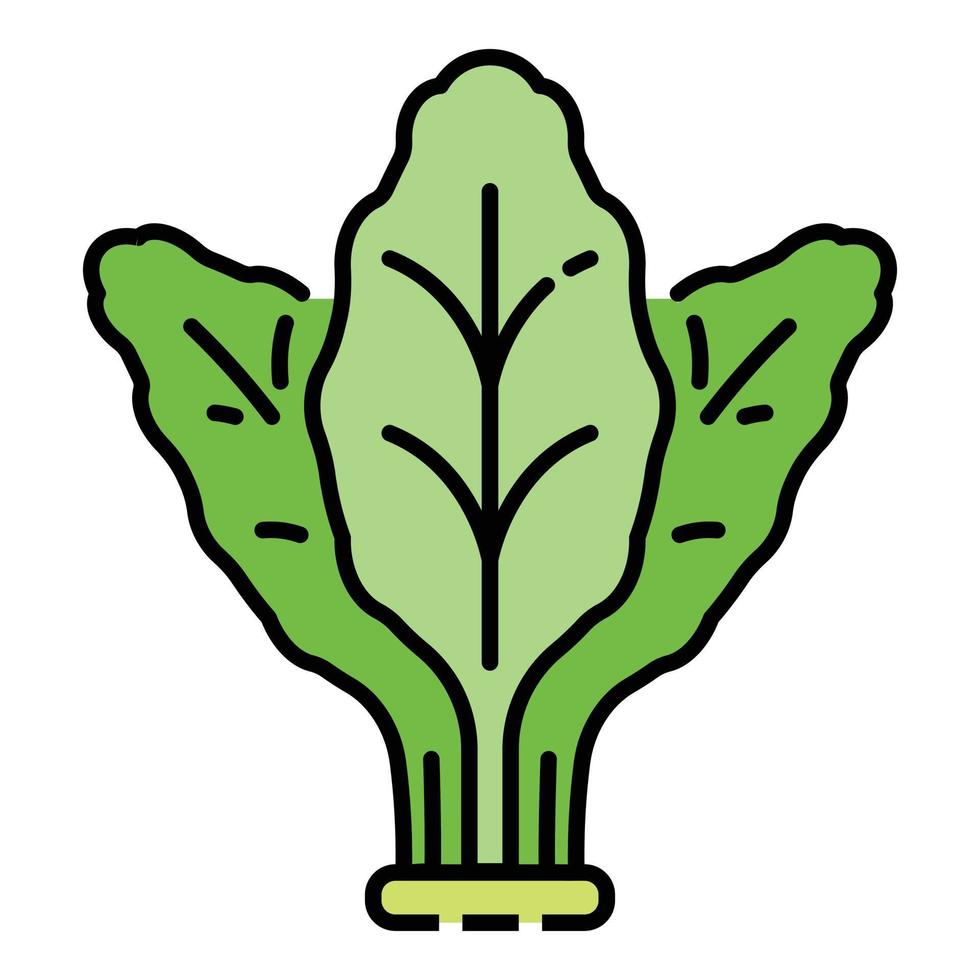 Fresh spinach icon color outline vector