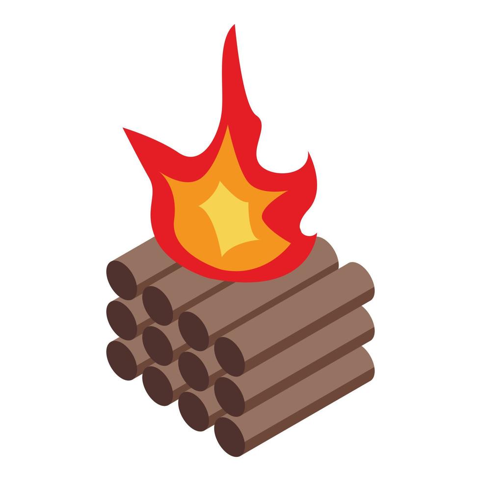 Campfire icon, isometric style vector