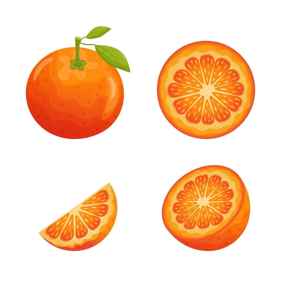 conjunto de rodajas de fruta naranja. naranja entera con hojas, mitad, rodaja y círculo. vector