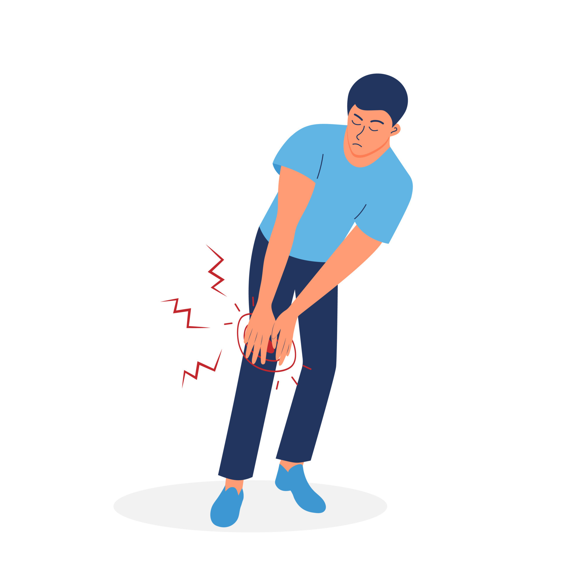 Knee Injury Prevention: Start By Labeling These Structures - ofkvjbt