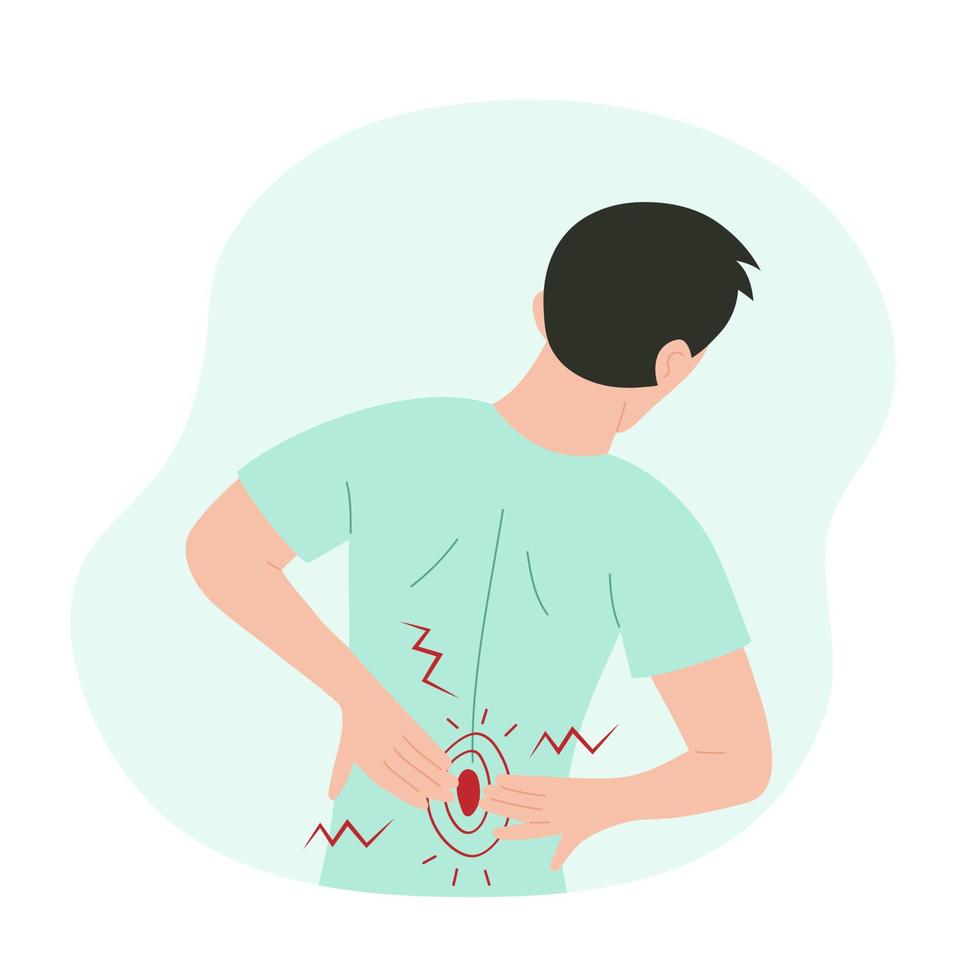 Man holding his small of the back. Back view of a man suffering from backache. Healthcare, lower back pain, medicine concept. vector