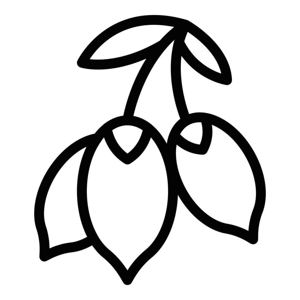 Antioxidant superfood icon, outline style vector