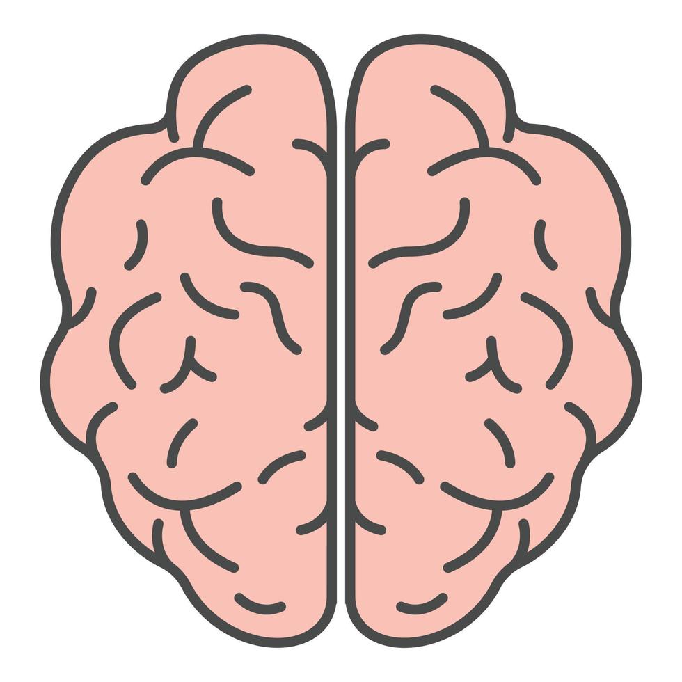 Top view brain icon color outline vector 15677777 Vector Art at Vecteezy