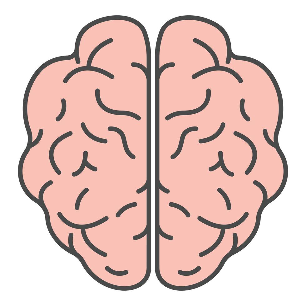 Top view brain icon color outline vector