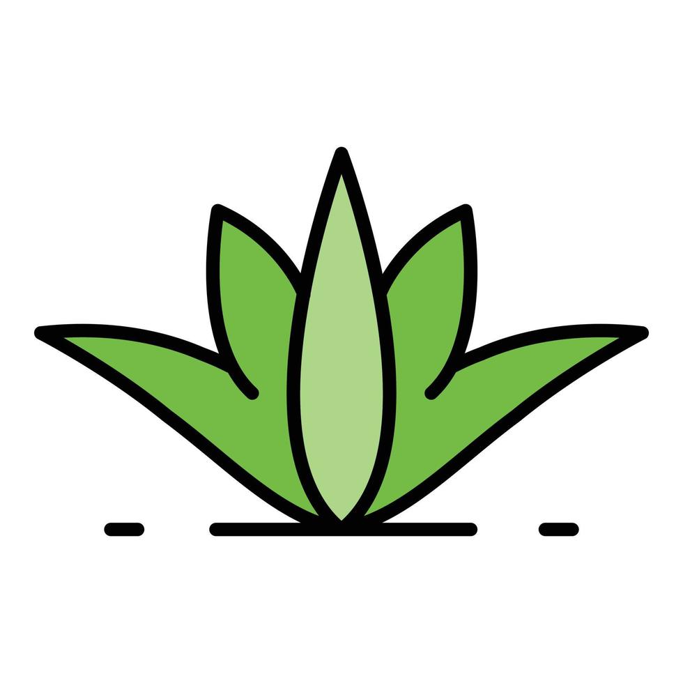 Natural aloe vera icon color outline vector