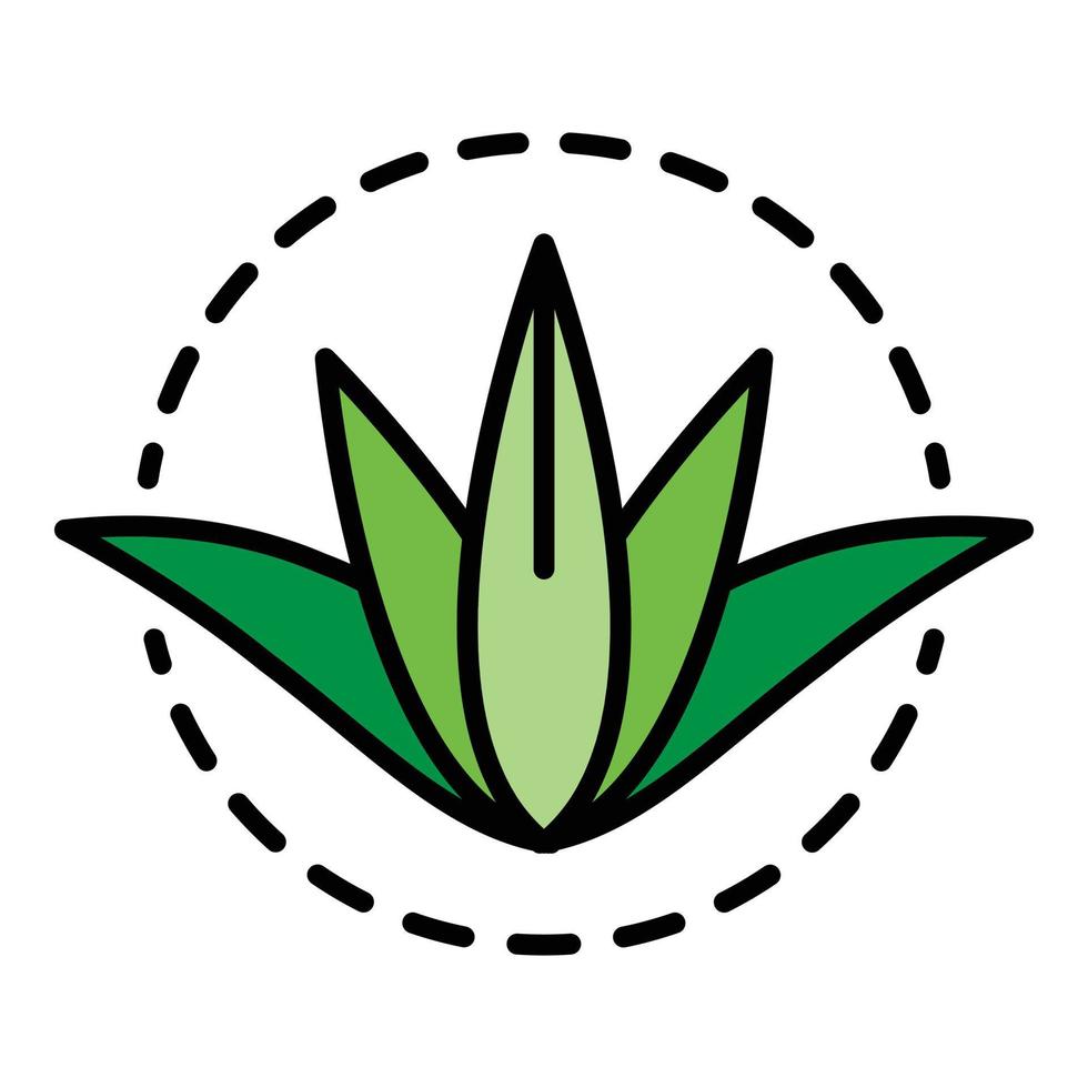 Aloe vera plant icon color outline vector