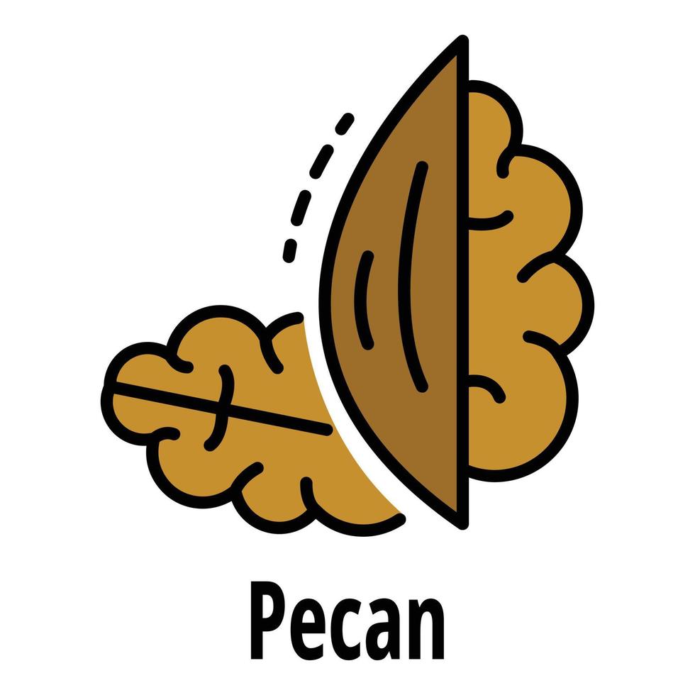 vector de contorno de color de icono de nuez pecan