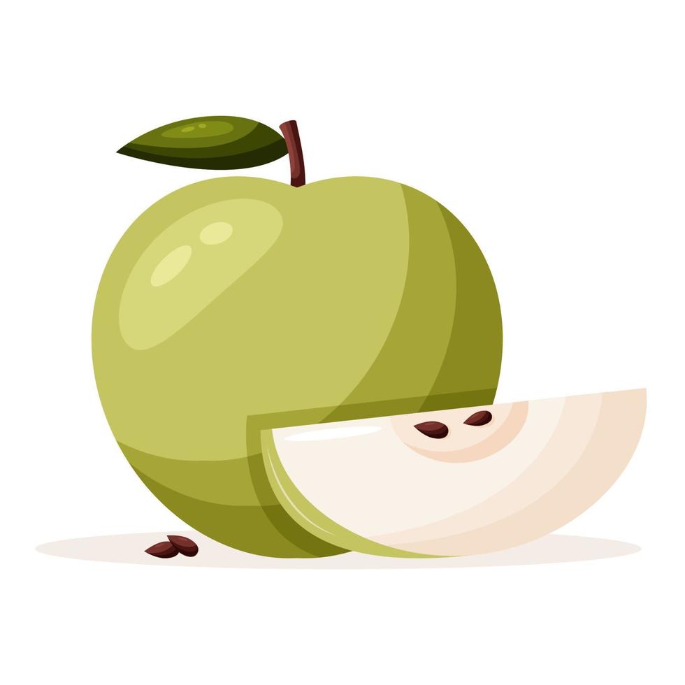 Whole green apple and slice vector