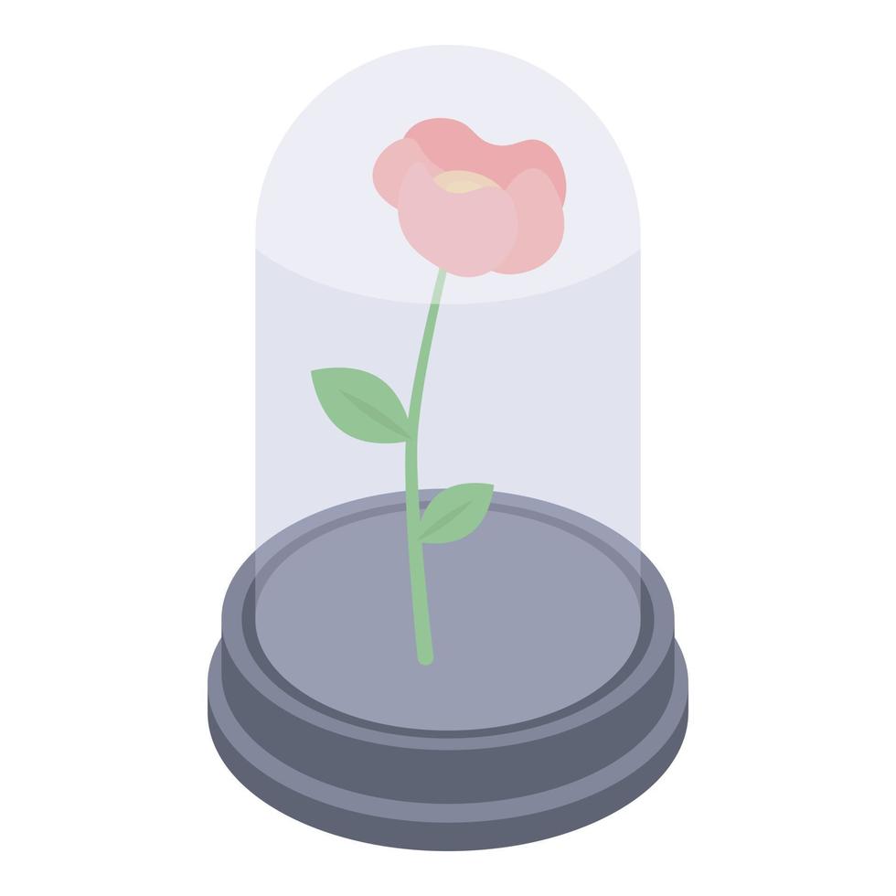 Rose in glass pot icon, isometric style vector