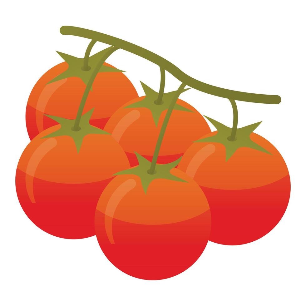 icono de rama de tomate, estilo isométrico vector