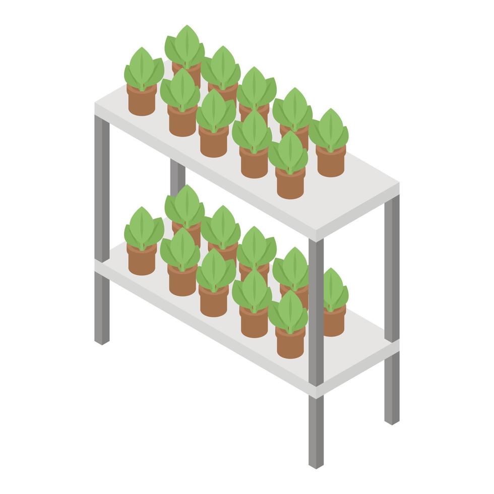 Rack of indoor plant pot icon, isometric style vector