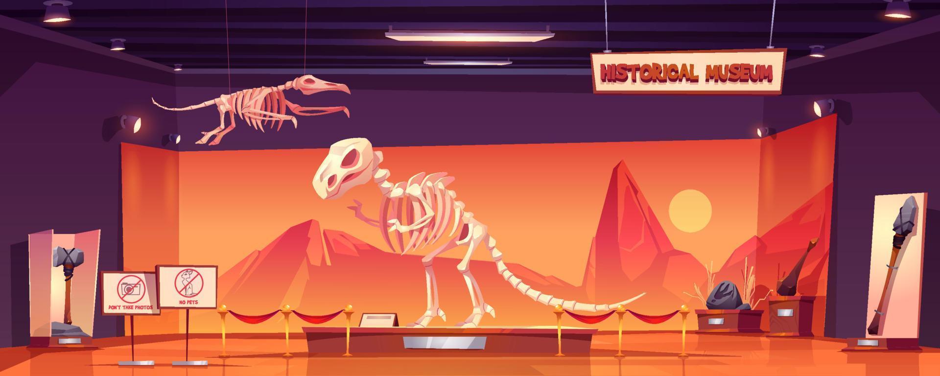 esqueleto de dinosaurio en el museo de historia, exposición vector