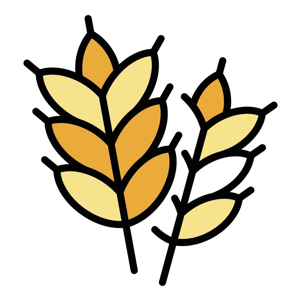 Wheat plant icon color outline vector