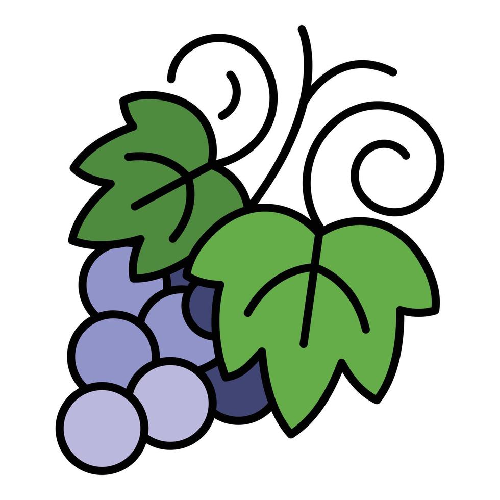 vector de contorno de color de icono de uvas