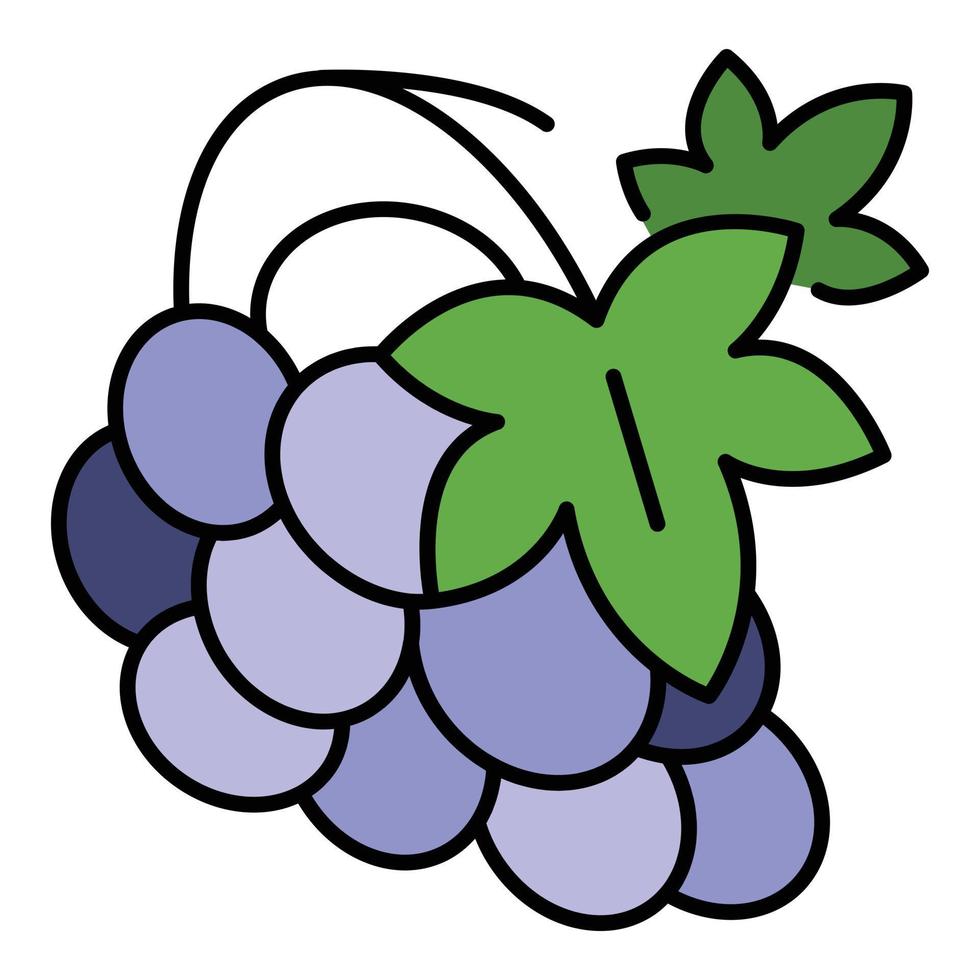 Vineyard grape icon color outline vector
