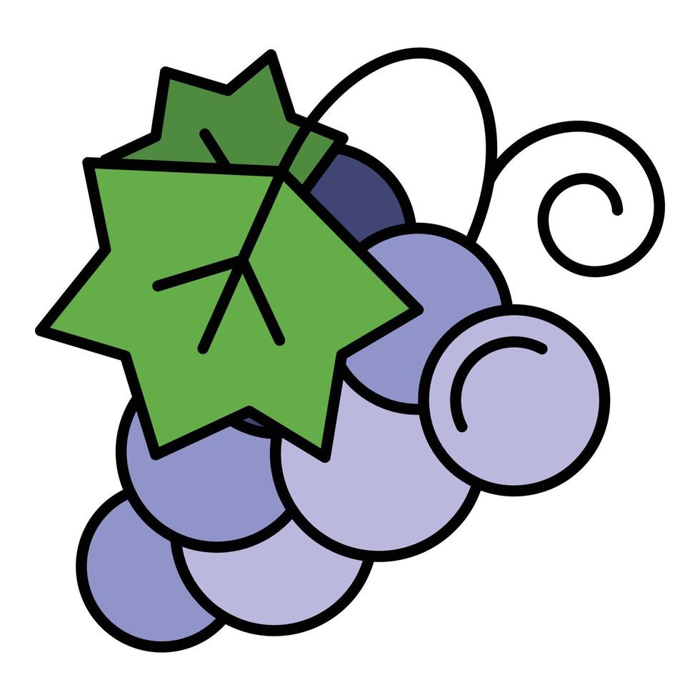 Concord grape icon color outline vector
