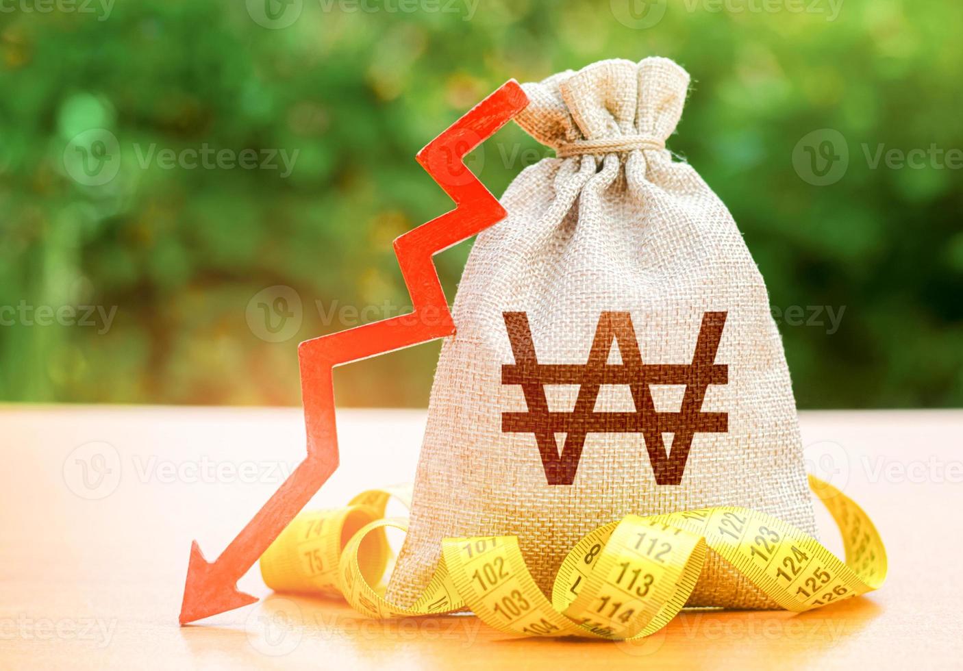 South korean won money bag with down arrow and measure tape. Reduced wages, cuts in social benefits. Cutting costs. Capital outflow. Decrease in discount rate by national bank. Falling wages photo