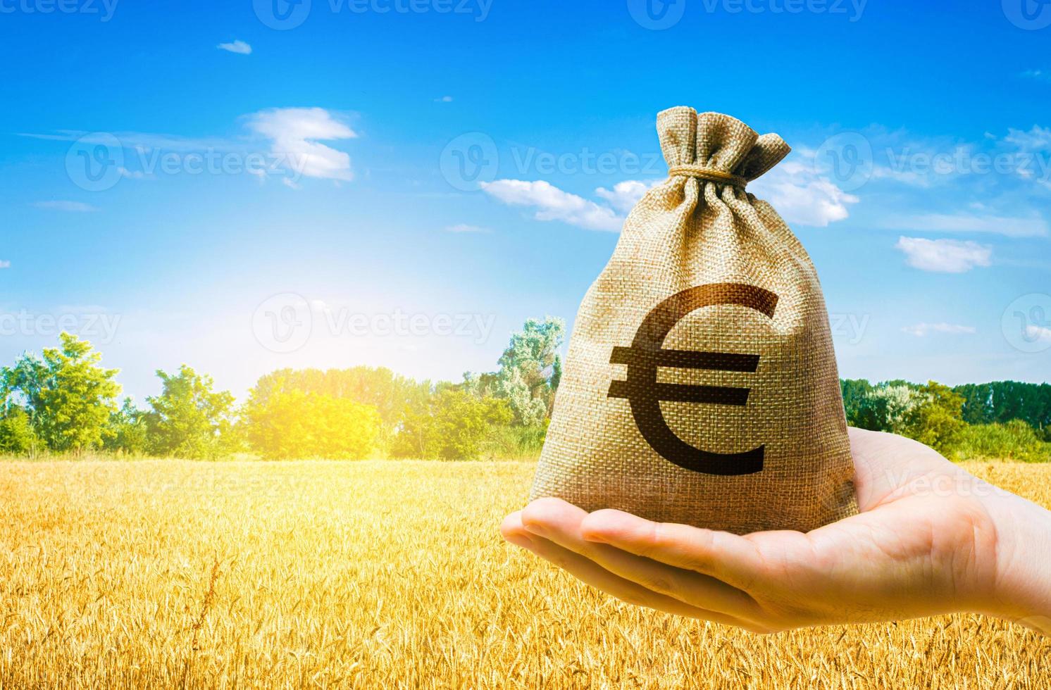 Wheat field and euro money bag. Food security and fight against hunger. Agroindustry business. Investments in agricultural complex. Profit buy deal. Stock market futures. Starvation and famine. photo