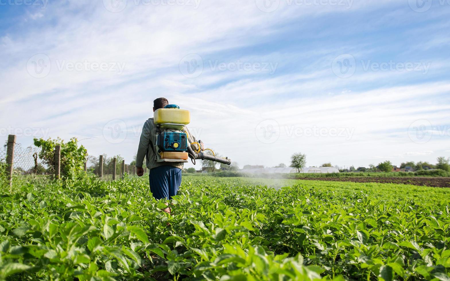 Farmer with a mist sprayer walks through farm field. Protection of cultivated plants from insects and fungal infections. Farming growing vegetables. Use of chemicals for crop protection in agriculture photo