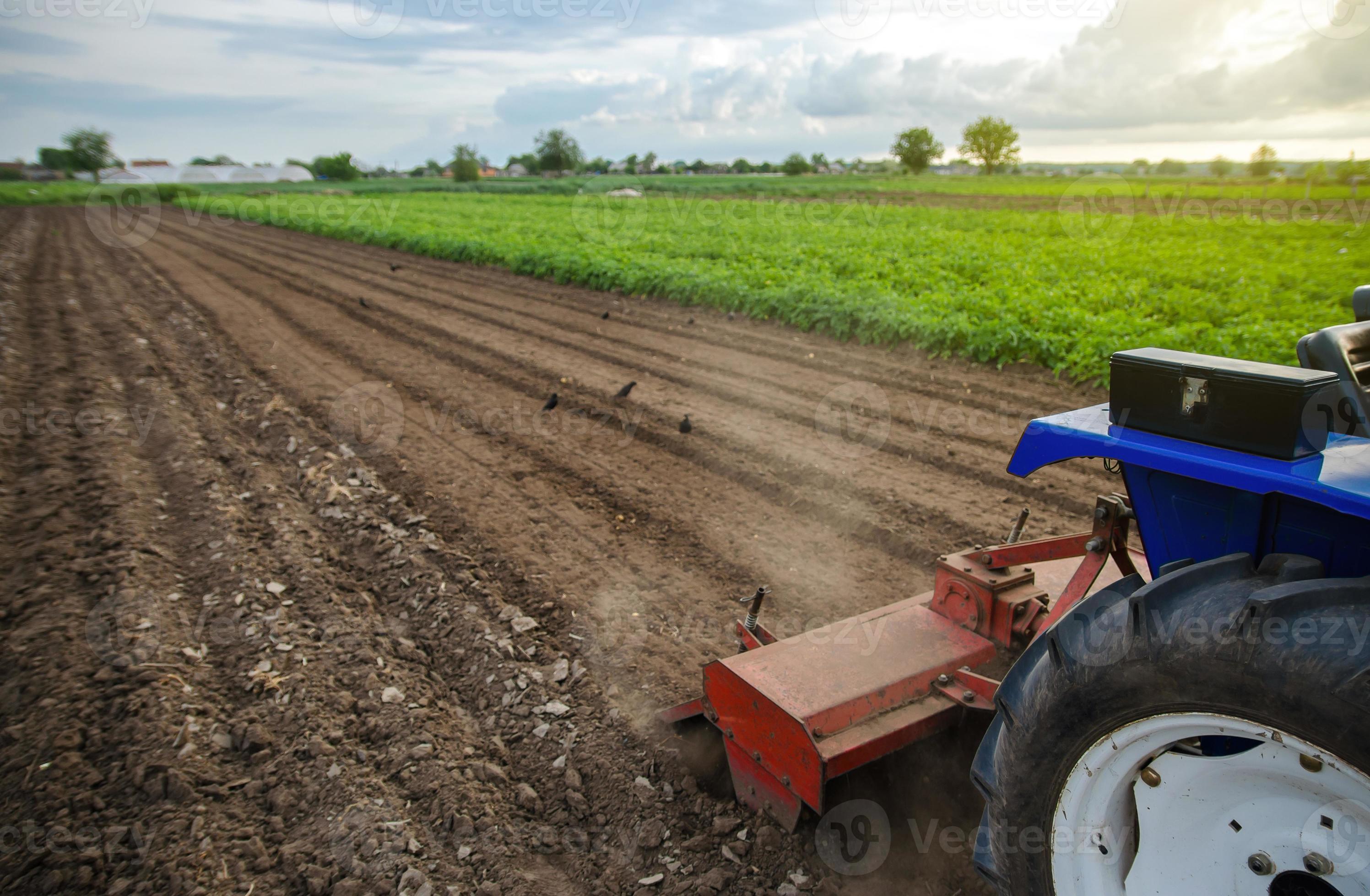 A tractor with a milling machine is cultivating a farm field. Loose