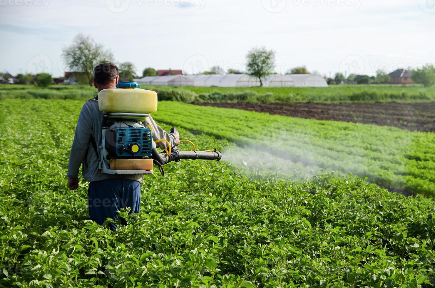 A farmer sprays chemicals on a potato plantation field. Increased harvest. Control of use of chemicals growing food. Protection of cultivated plants from insects and fungal infections. photo