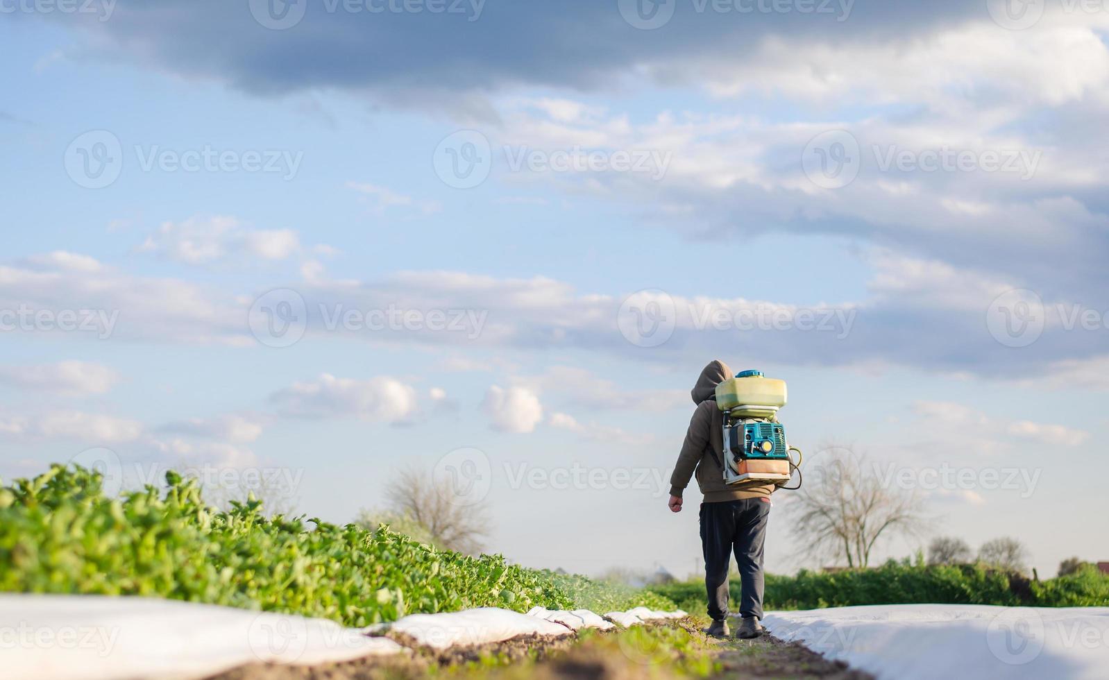 A farmer with a poison sprayer walks across the plantation field. Protection of cultivated plants from insects and fungal infections. Use of chemicals for crop protection. Farming growing vegetables photo