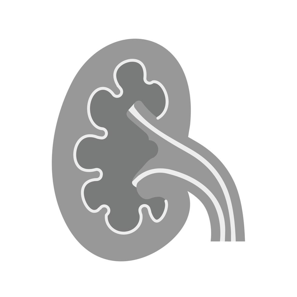 icono de riñón plano en escala de grises vector