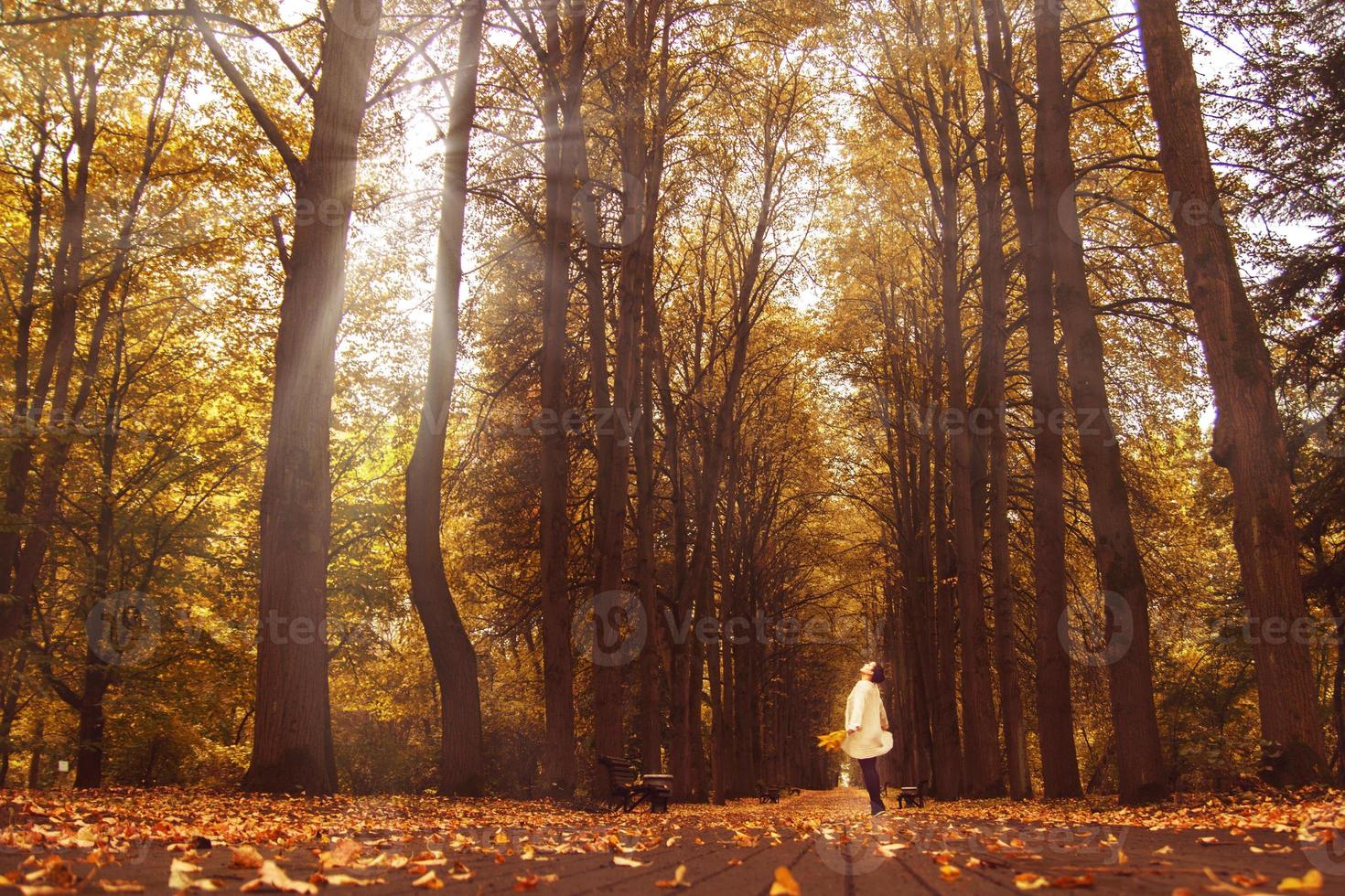 girl walking in the park in autumn photo