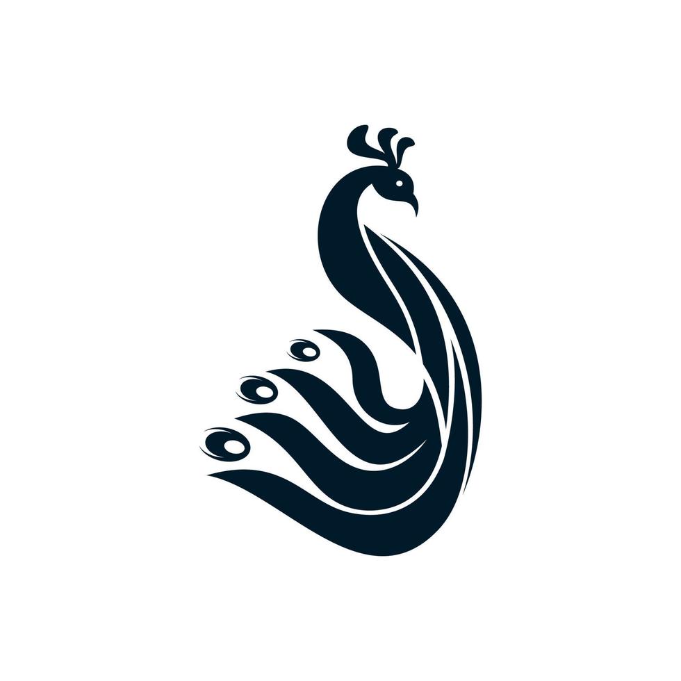 peacock logo for beauty vector