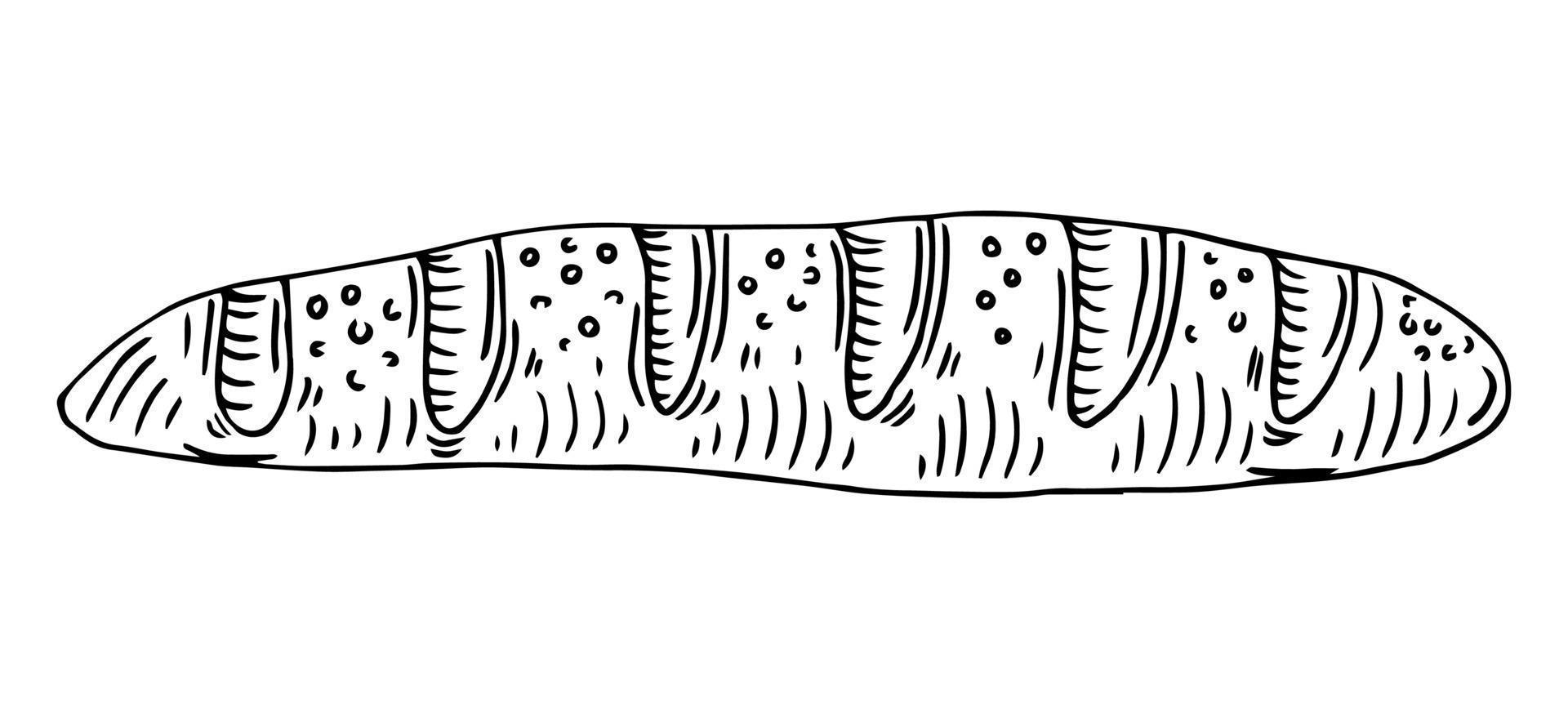 Vector hand drawn doodle sketch baguette bread isolated on white background