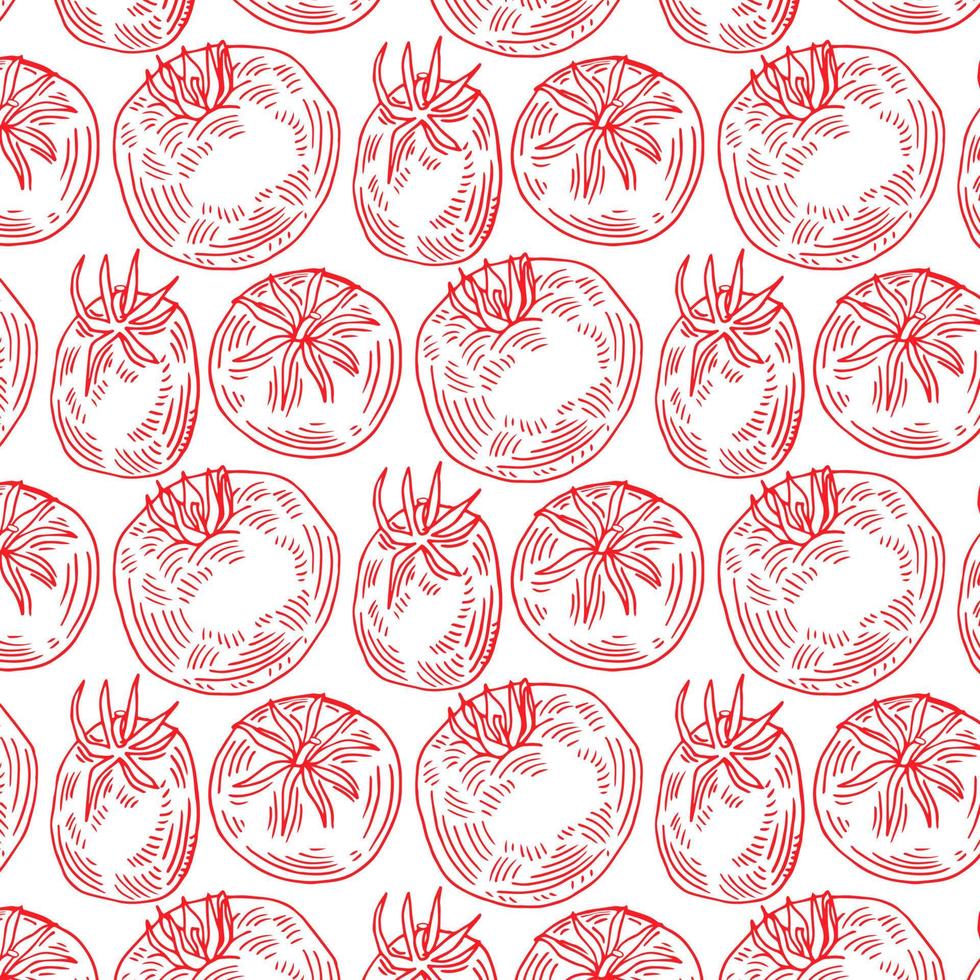 pattern of red hand drawn tomatoes, tomato slices on a white background. Vector illustration