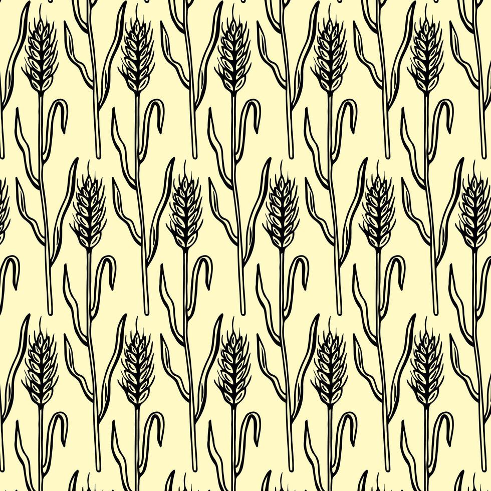 pattern with wheat isolated on white background vector