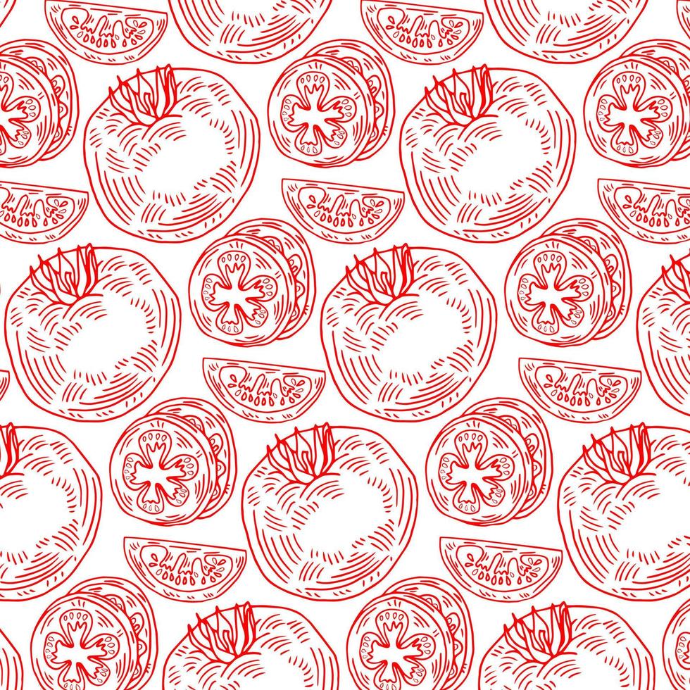 pattern of red hand drawn tomatoes, tomato slices on a white background. Vector illustration
