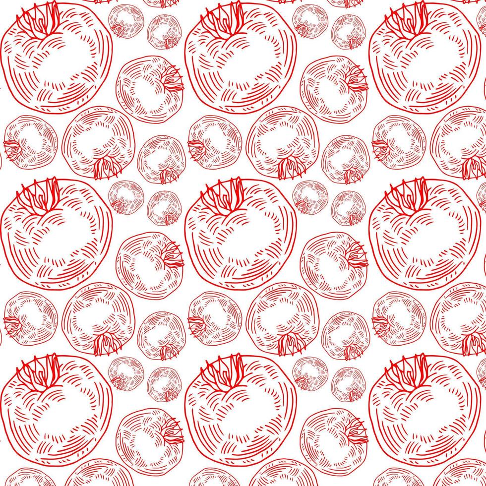 pattern of red hand drawn tomatoes, tomato slices on a white background. Vector illustration