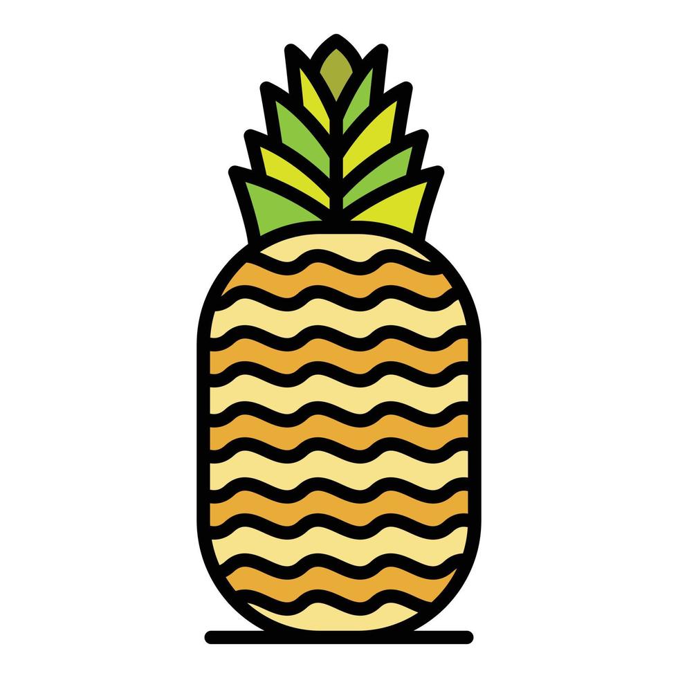 Pineapple icon color outline vector