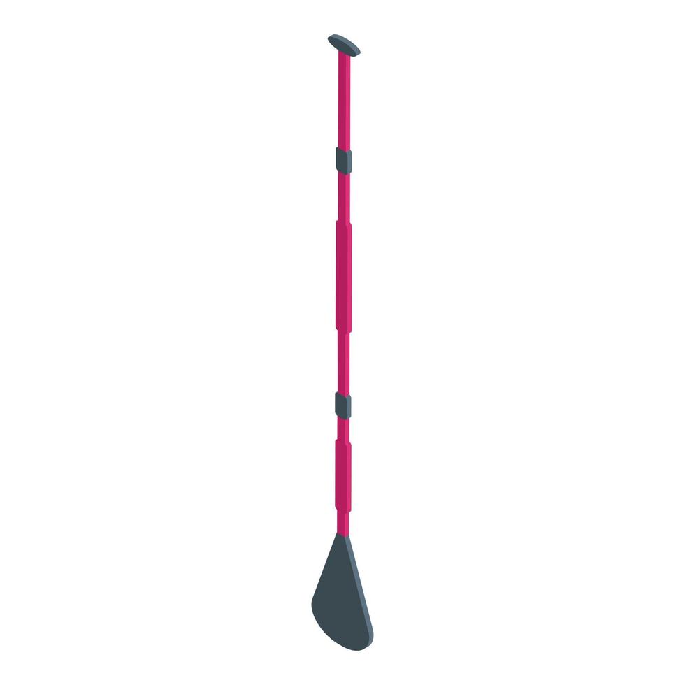Water oar icon, isometric style vector