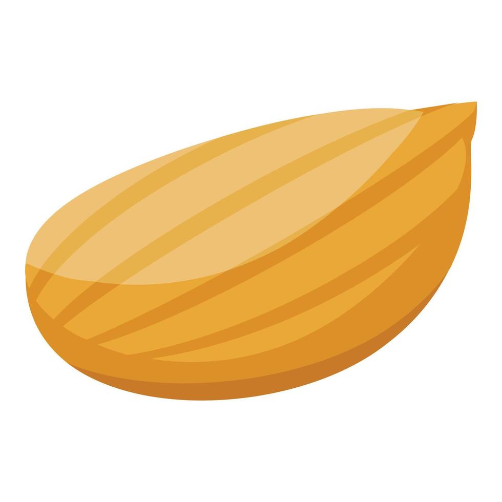 Bio sunflower seed icon, isometric style vector