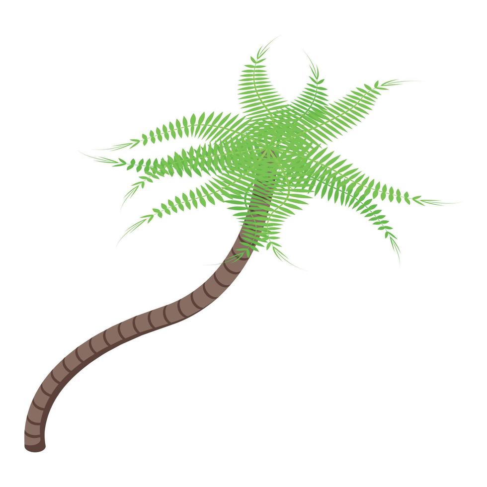 icono de palmera de planta, estilo isométrico vector