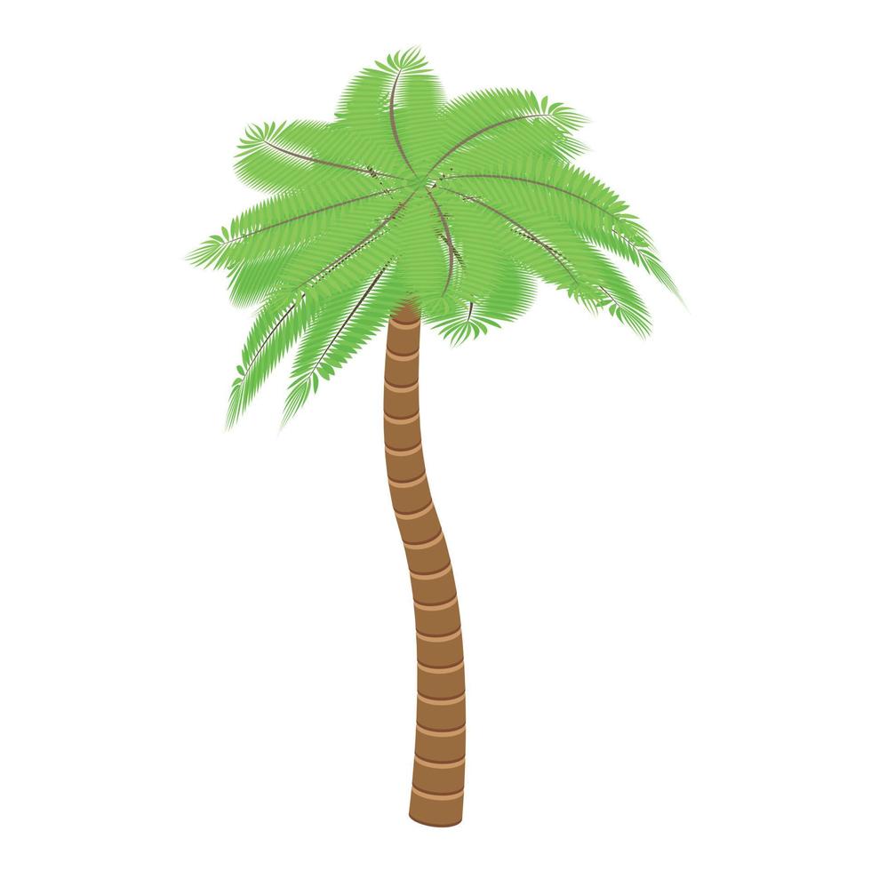 Nature palm tree icon, isometric style vector