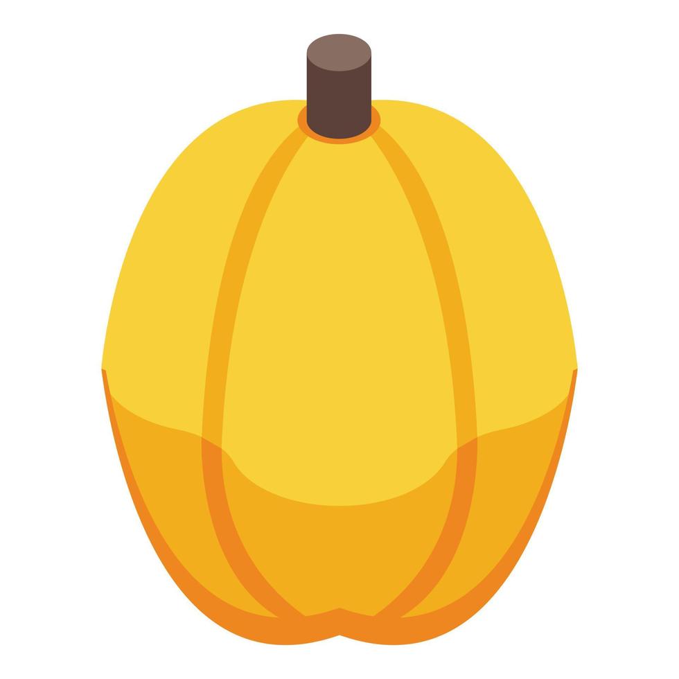 Yellow chestnut icon, isometric style vector