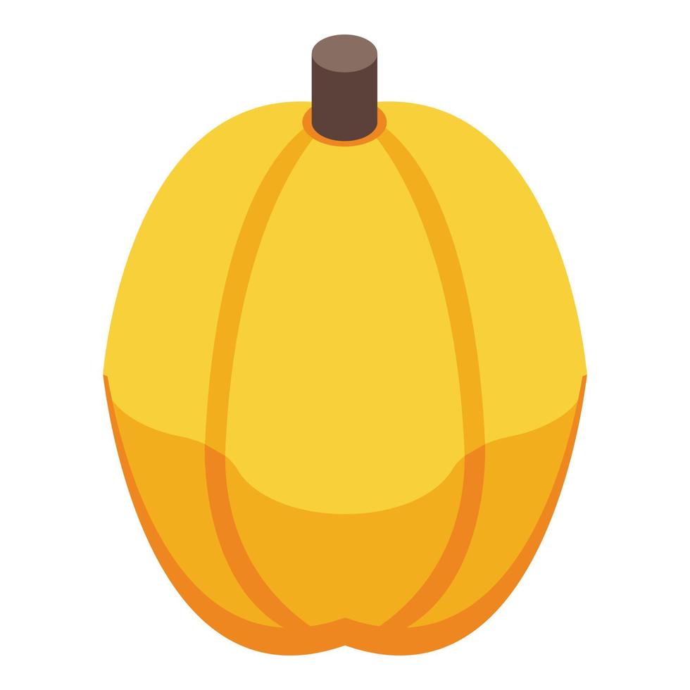 Yellow chestnut icon, isometric style vector