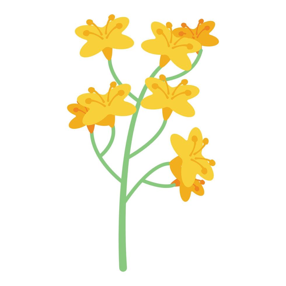 Canola plant icon, isometric style vector