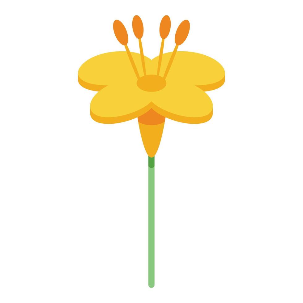 Canola yellow flower icon, isometric style vector