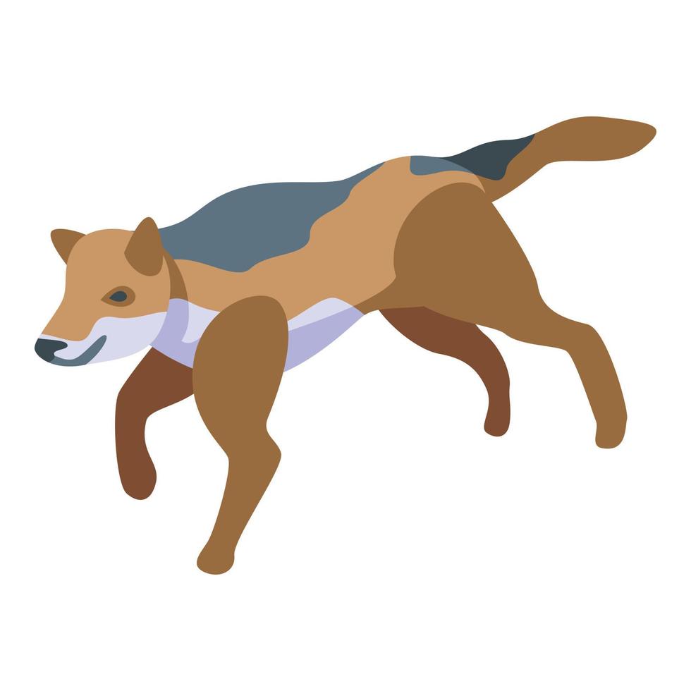 Running wolf icon, isometric style vector