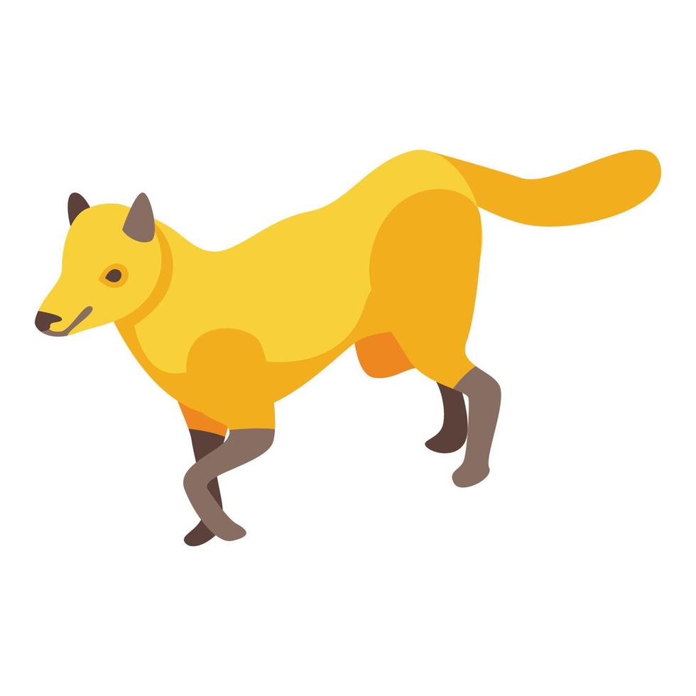 Savannah fox icon, isometric style vector